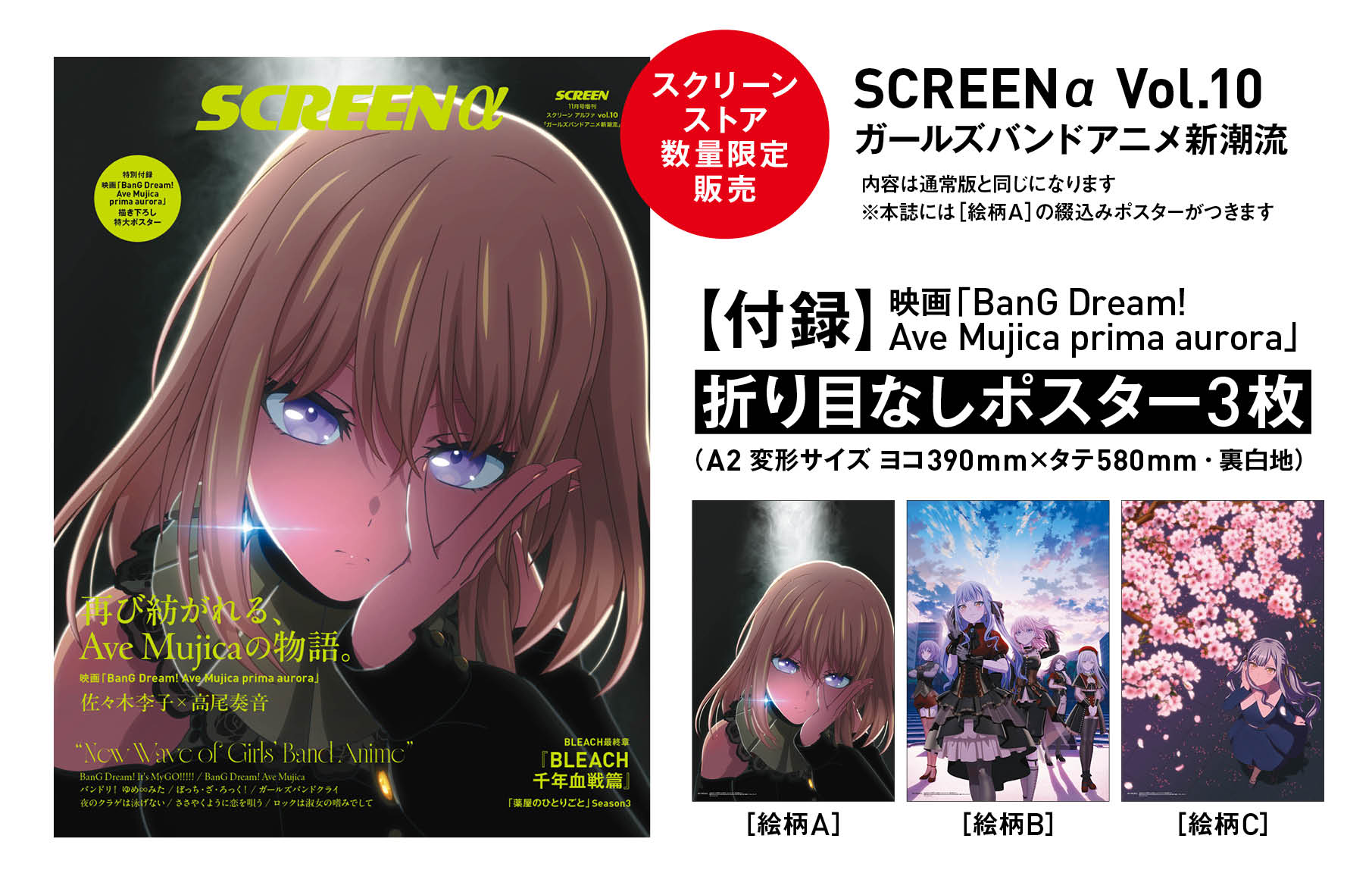 数量限定・折り目なしポスター付き》SCREEN α vol.10 ガールズバンド